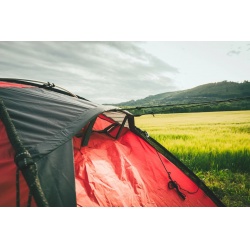 Husky Felen 2-3 Red cervena8