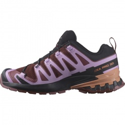 Salomon XA Pro 3D v9 W rum raisin orchid bouquet 475893 damske prodysne bezecke boty 1