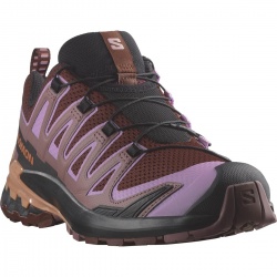 Salomon XA Pro 3D v9 W rum raisin orchid bouquet 475893 damske prodysne bezecke boty 2