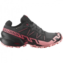 Salomon Speedcross 6 GTX W nine iron 478804 damske nepromokave bezecke boty do terenu