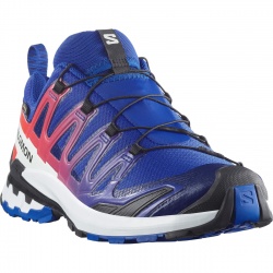 Salomon XA Pro 3D v9 GTX Equipe surf the web/fiery 479826 panske nepromokave bezecke boty1