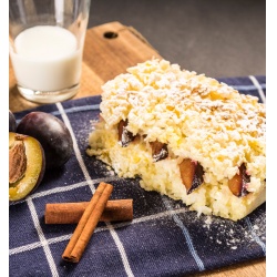 Adventure Menu Ryzovy nakyp se svestkami 1 porce 250 g sterilovane jidlo na cesty 1