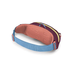 Osprey Daylite Waist 2l unisex ledvinka moody burgundy 2