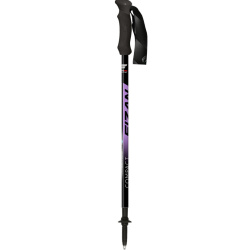 Fizan NW Speed fialova violet dvoudilne nordic walking hole bez odpruzeni 4