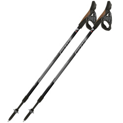 Fizan NW Speed dvoudilne nordic walking hole bez odpruzeni 100504 black