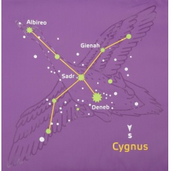 Boll Stellar levander blackberry detsky trisezónni spaci pytel Microfiber Dual 5