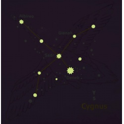 Boll Stellar levander blackberry detsky trisezónni spaci pytel Microfiber Dual 9