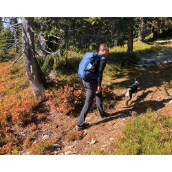 Pinguin Vector 35l turisticky batoh navy modry2