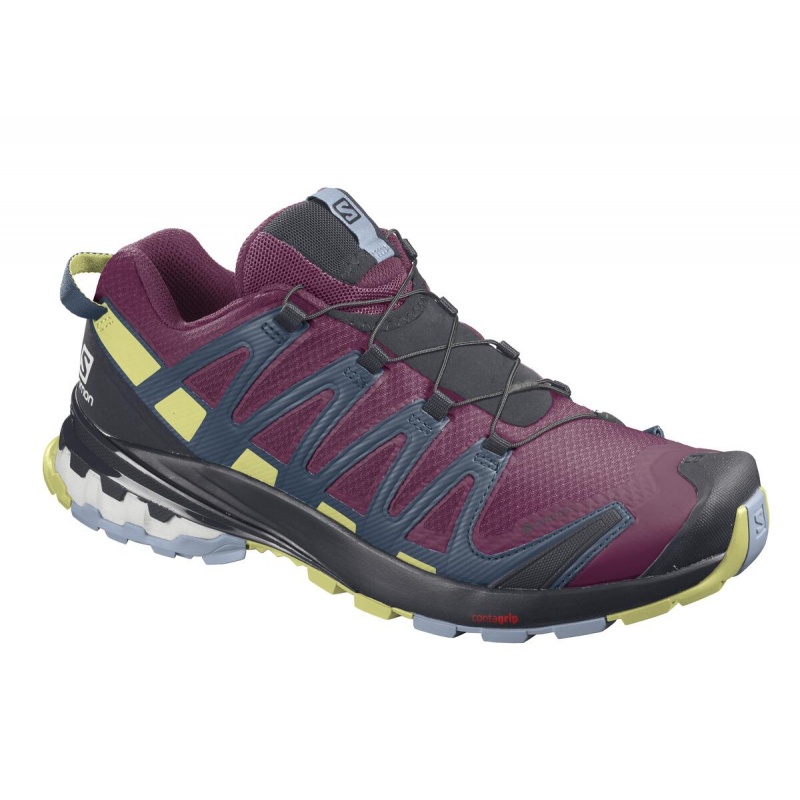 Salomon XA Pro 3D v8 GTX W plum caspia 413867 damske nepromokave bezecke boty