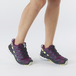 Salomon XA Pro 3D v8 GTX W plum caspia 413867 damske nepromokave bezecke boty 2