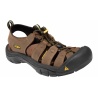 Keen Newport bison