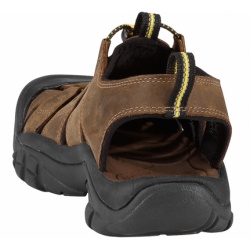 Keen Newport bison 1