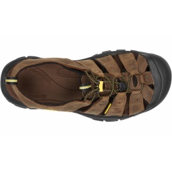 Keen Newport bison 4