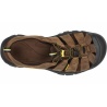 Keen Newport bison 4