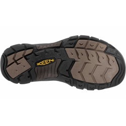 Keen Newport bison 3