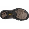 Keen Newport bison 3